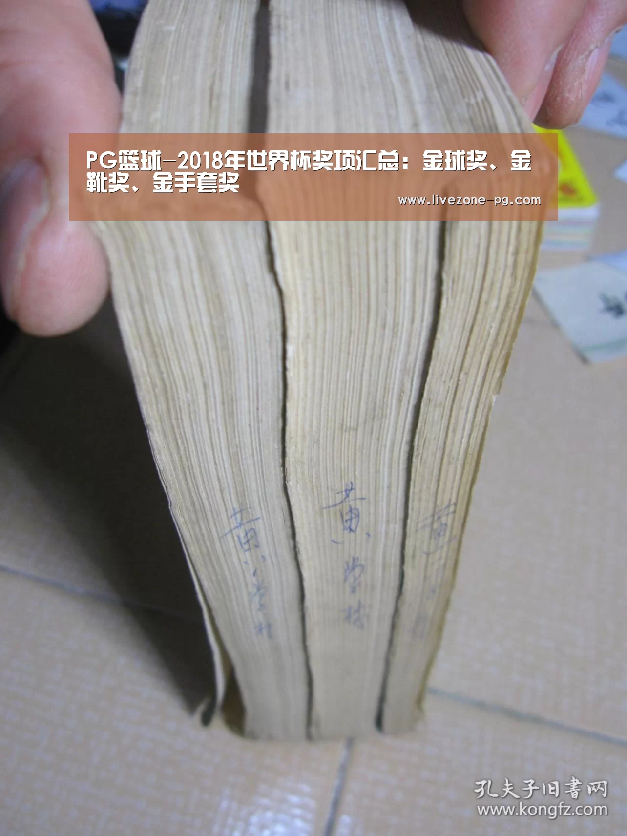 PG篮球-2018年世界杯奖项汇总:金球奖、金靴奖、金手套奖(图3) PG地址