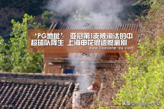‘PG地址’
亚冠第1支被淘汰的中超球队降生 上海申花很遗憾离别本届赛事(图2) PG地址