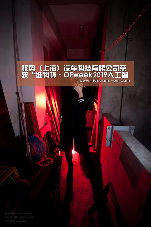 驭势(上海)汽车科技有限公司荣获“维科杯·OFweek2019人工智能行业优秀产品应用奖”:PG滚球(图2) PG篮球