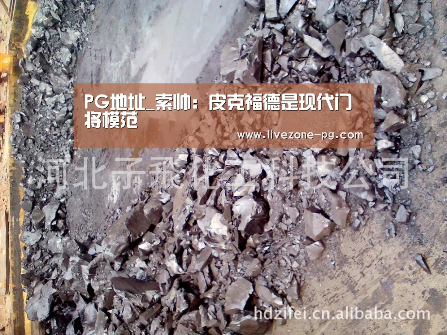 PG地址_索帅:皮克福德是现代门将模范(图2) PG篮球
